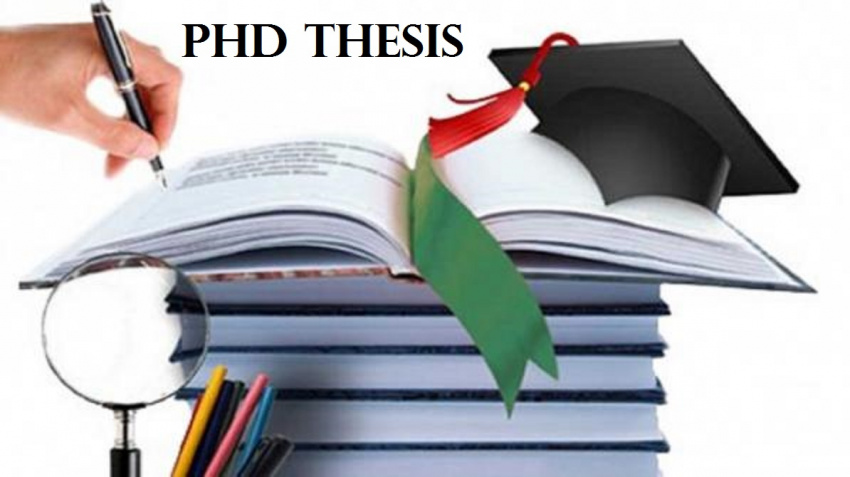 PHD THESIS