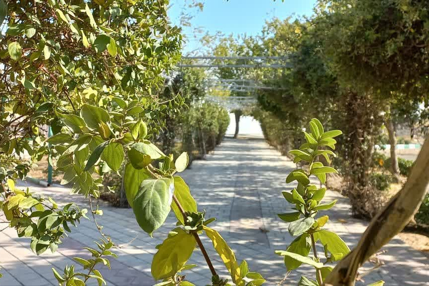 محوطه