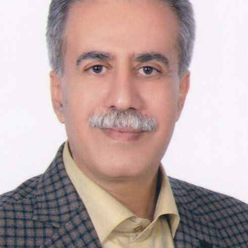 محمد بامنی مقدم