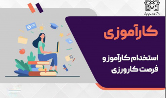 به کارگیری دانشجویان ممتاز دانشگاه به عنوان کارآموز در دوره های کوتاه مدت و بلند مدت در گروه آرین سعید