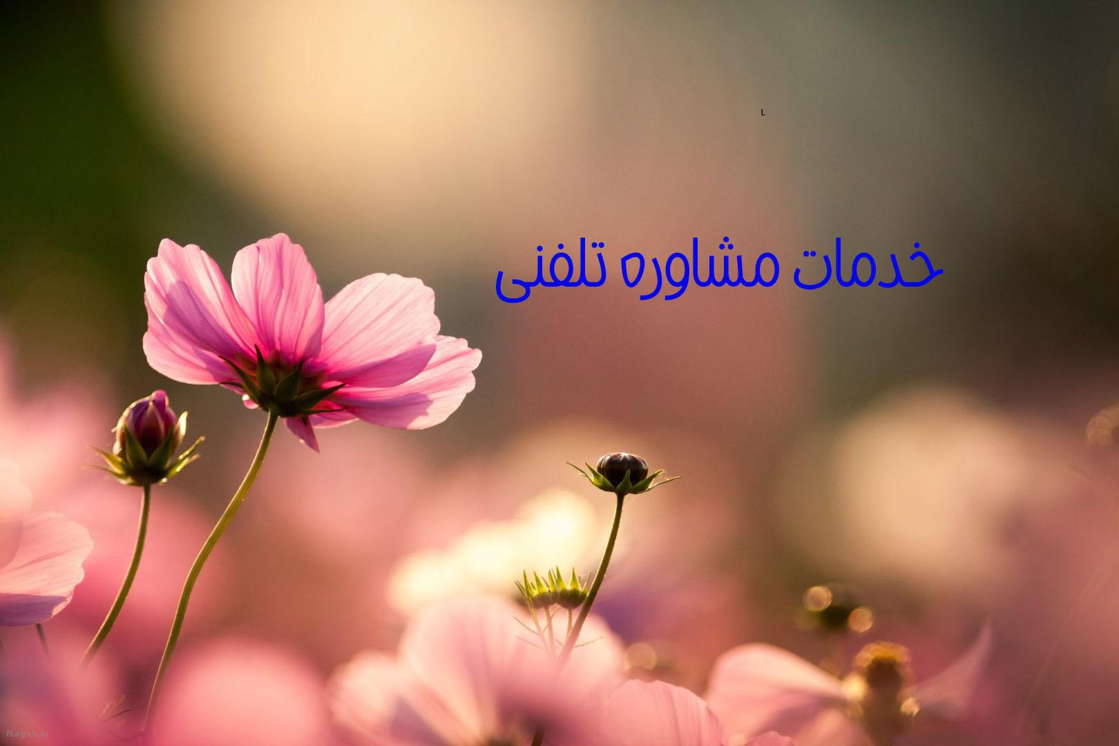 خدمات مشاوره تلفنی
